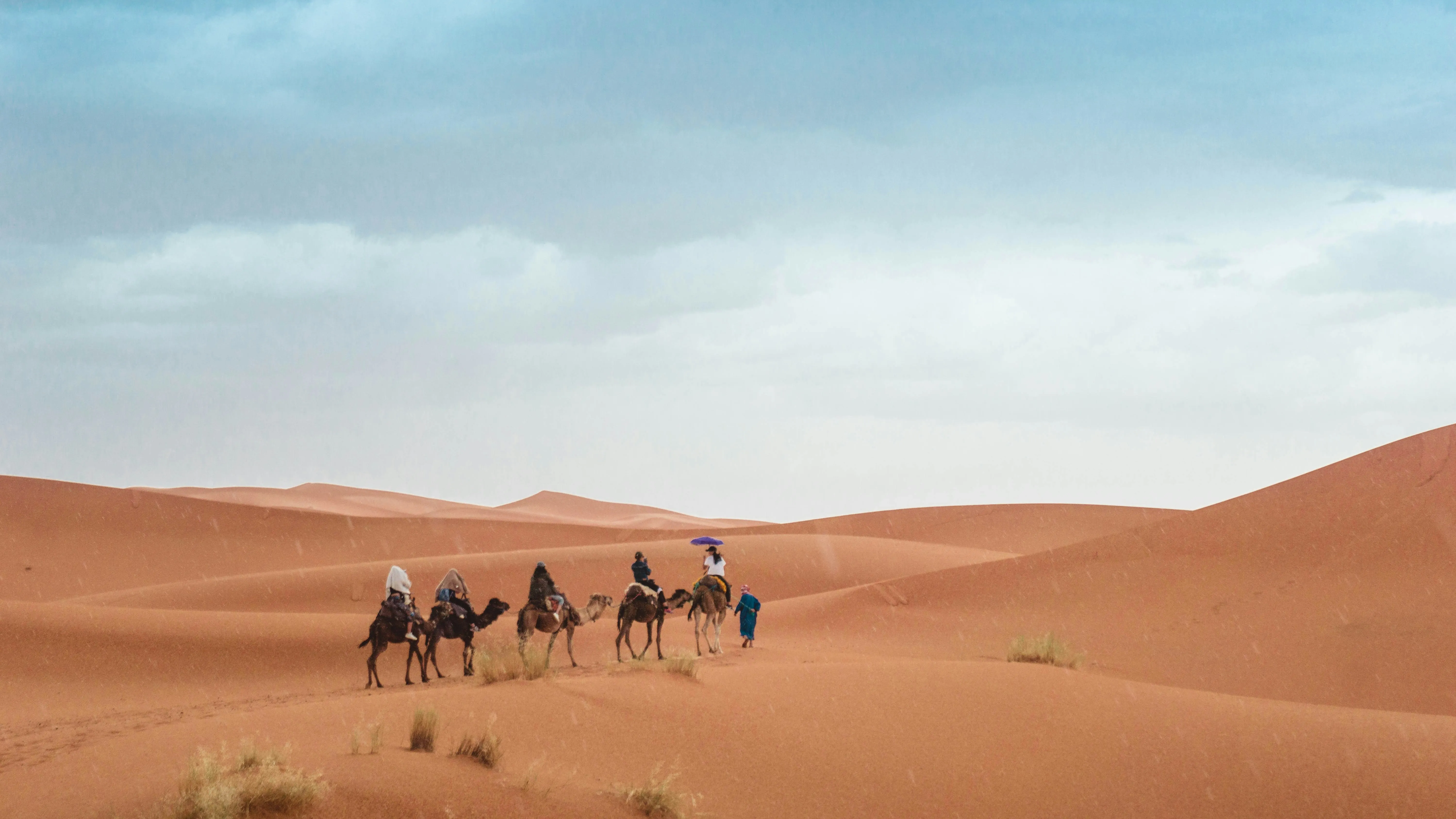 Caravan moving across the dunes of the Sahara Desert